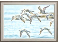 29" x 41" Seabird Flock Gel Textured Coastal Print in a Tannish Blue Frame