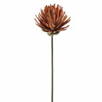 33" Faux Beige Dry Look Protea Stem