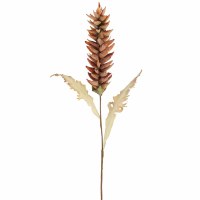 40" Faux Rust Dry Look Heliconia Stem