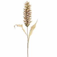 40" Faux Beige Dry Look Heliconia Stem