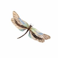 19" Multicolor Capiz Dragonfly Metal Wall Art Plaque