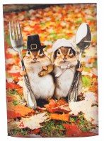 18" x 13" Mini Pilgrim Chipmunks Flag