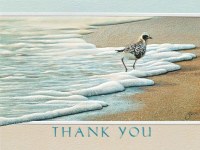 Box of Nine Plover on the Beach Thank You Note Cards