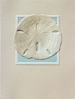 Box of Nine Beige Sand Dollar Blank Note Cards