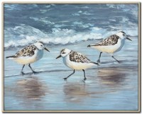 24" x 30" Shoreline Trio 1 Coastal Canvas Framed