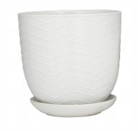 8" Round White Textured Porcelain Pot With a Saucer