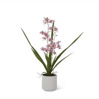 21" Faux Pink Orchid in a White Pot