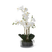 23" Faux White Five Orchids With Moss in a Glass Vase