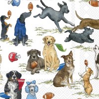 5" Square Football Dogs Beverage Napkins