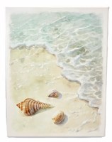 17" x 13" Shoreline With Shells Coastal Canvas