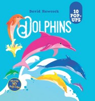 Dolphins Children's Pop-Up Book