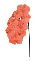 31" Faux Orange Phalaenopsis Spray