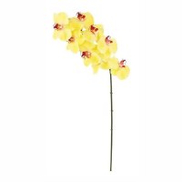 31" Faux Yellow Phalaenopsis Spray