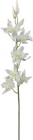 31" Faux White Oncidium Spray