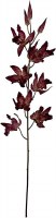 31" Faux Wine Oncidium Spray