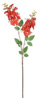 36" Faux Red Montberetia Spray