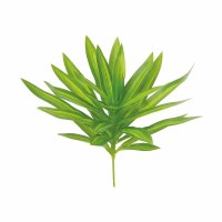 10" Faux Two Toned Green Dracaena