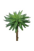 6" Faux Green Sword Succulent