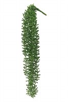 20" Faux Baby Tears Succulent