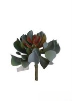 6" Faux Green and Red Kishii Lotus Succulent