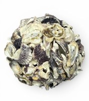 6" Oyster Shell Orb