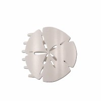 Large White Sand Dollar Hair Clip