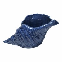 10" Navy Whelk Shell Vase