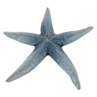 9" Blue Ceramic Starfish Figurine