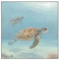 36" Sq Sea Turtle Swimming Above Framed Coastal Canvas