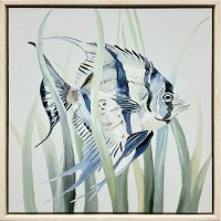 14" Sq Low Top Fin Angelfish Framed Coastal Canvas