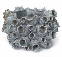9" Blue Ceramic Barnacle Vase