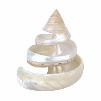 2" Pearl Spiral Cut Trocha Shell