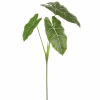 32" Green and Variegated Elephant Leaf Spray