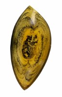 14" x 5.5" Amber Resin Tray