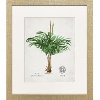 21" x 18" Arbor Palm Framed Coastal Print