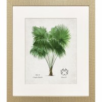 21" x 18" Corypha Palm Framed Coastal Print