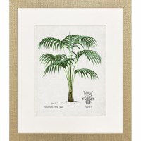 21" x 18" Elata Palm Framed Coastal Print