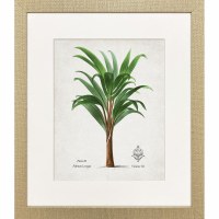 21" x 18" Longas Palm Framed Coastal Print