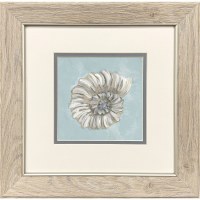 13" Sq Gray and White Snail Shell Framed Coastal Print
