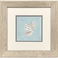 13" Sq Gray and White Whelk Shell Framed Coastal Print