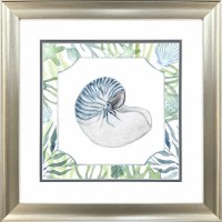 19" Sq Blue and Green Nautilus Shell Framed Coastal Print