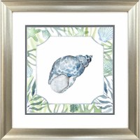 19" Sq Blue and Green Spot Shell Framed Coastal Print