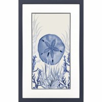 32" x 20" Blue Sand Dollar Framed Coastal Print