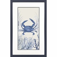 32" x 20" Blue Crab Framed Coastal Print
