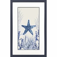 32" x 20" Blue Starfish Framed Coastal Print