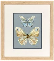 17" x 15" Blue Top Two Butterflies Framed Print