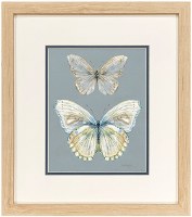 17" x 15" Gray Top Two Butterflies Framed Print