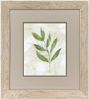 18" x 16" One Green Frond Framed Print