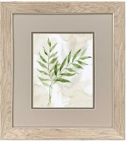 18" x 16" Two Green Frond Framed Print
