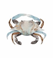 15" Blue and Brown Crab Capiz Plaque